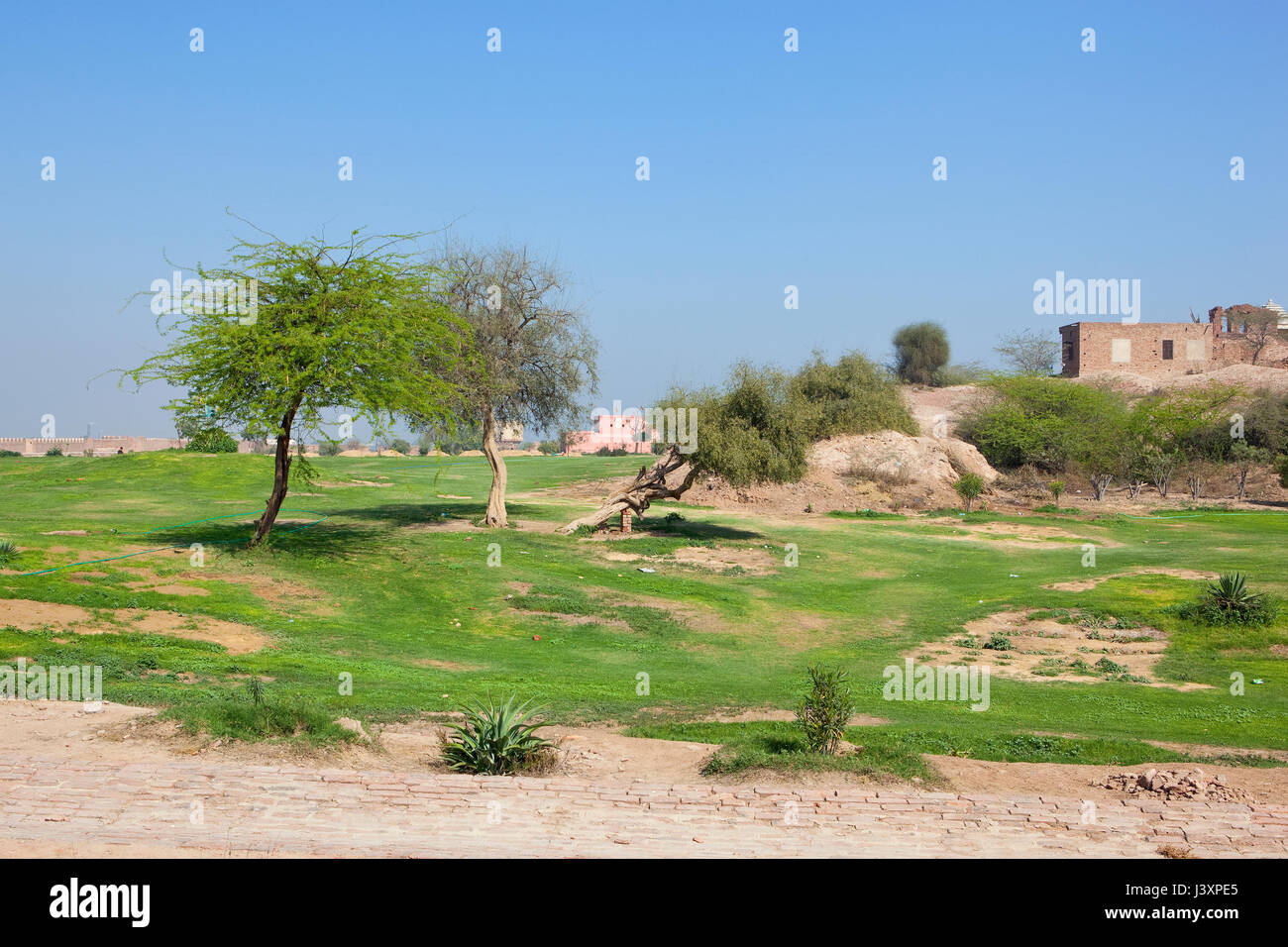 on top of bhatner fort complex in hanumangarh rajasthan with acacia trees restoration work and a hindu temple under a blue sky in springtime Stock Photo