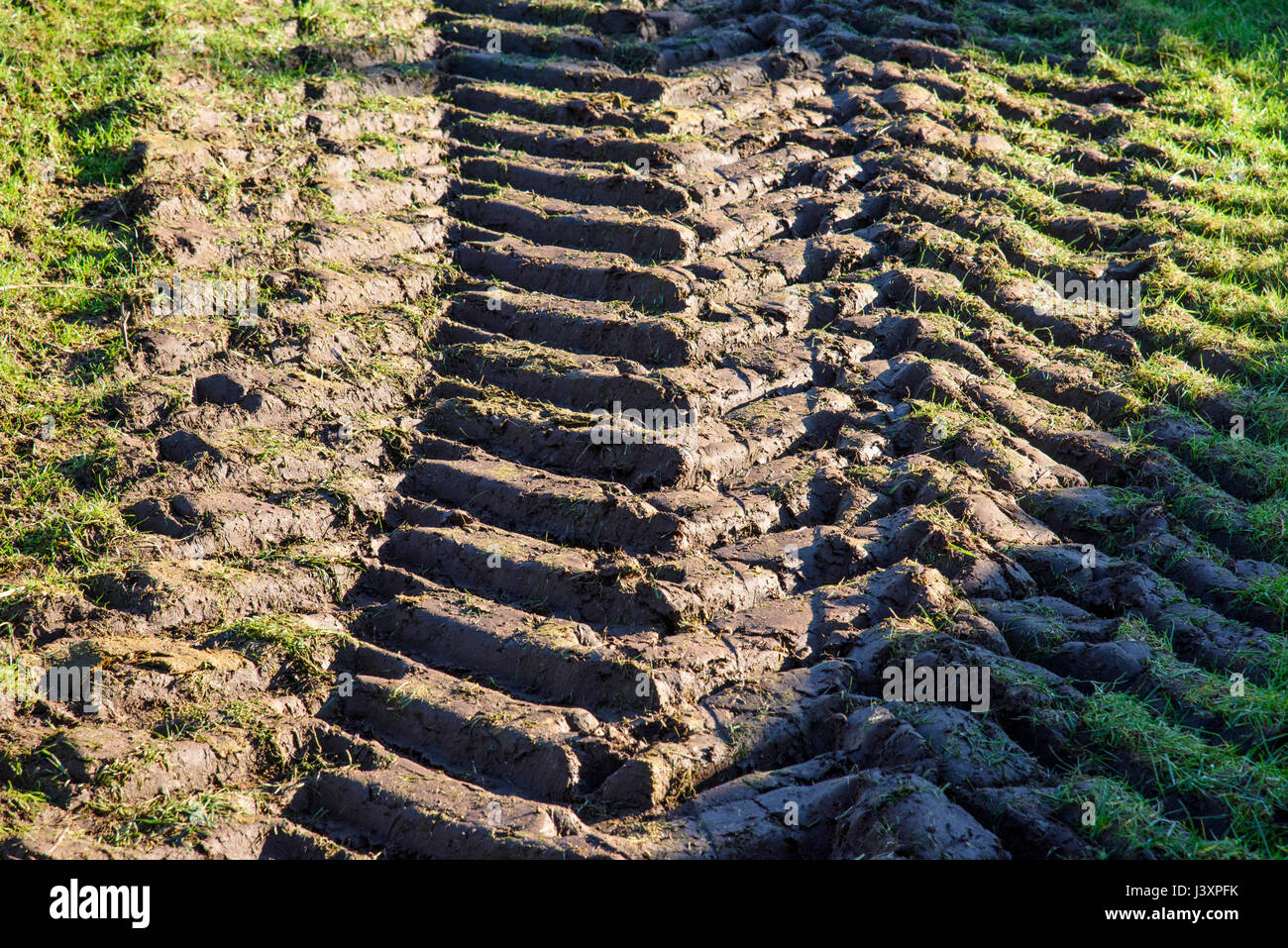 Tractor tyre marks in a grass field, Arnside, Cumbria. Stock Photo