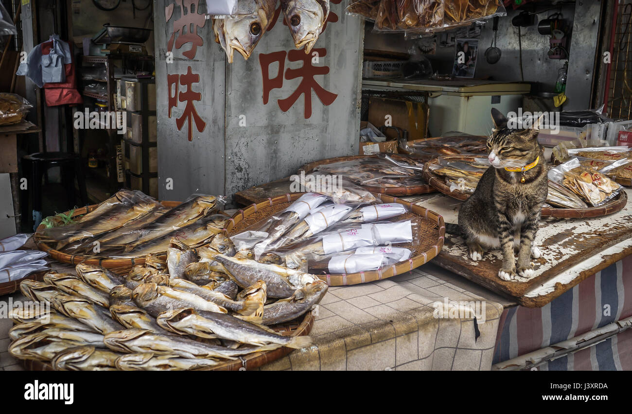 The cat is sitting upright with its front paws placed firmly on the ground guarding a market fish stall in Cheung Chau, Hong Kong Stock Photo
