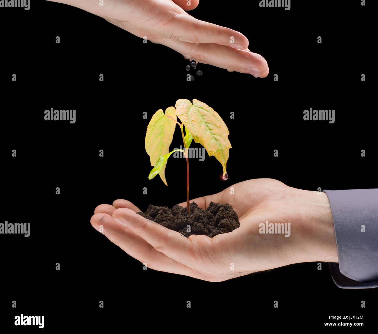 My Image 14