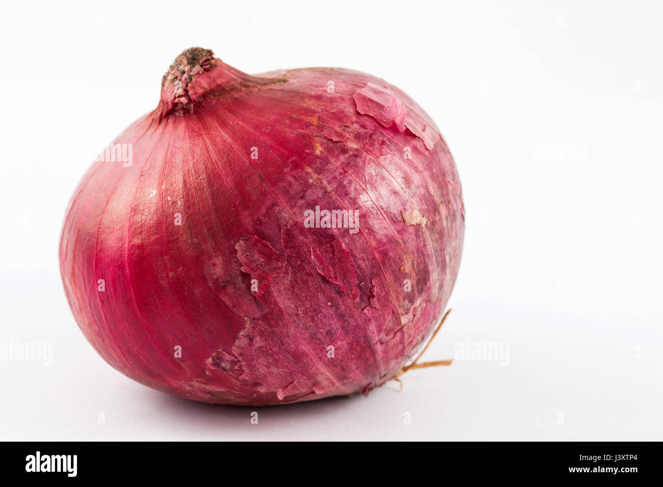 Red bulb onion (Allium cepa) isolated in white background Stock Photo