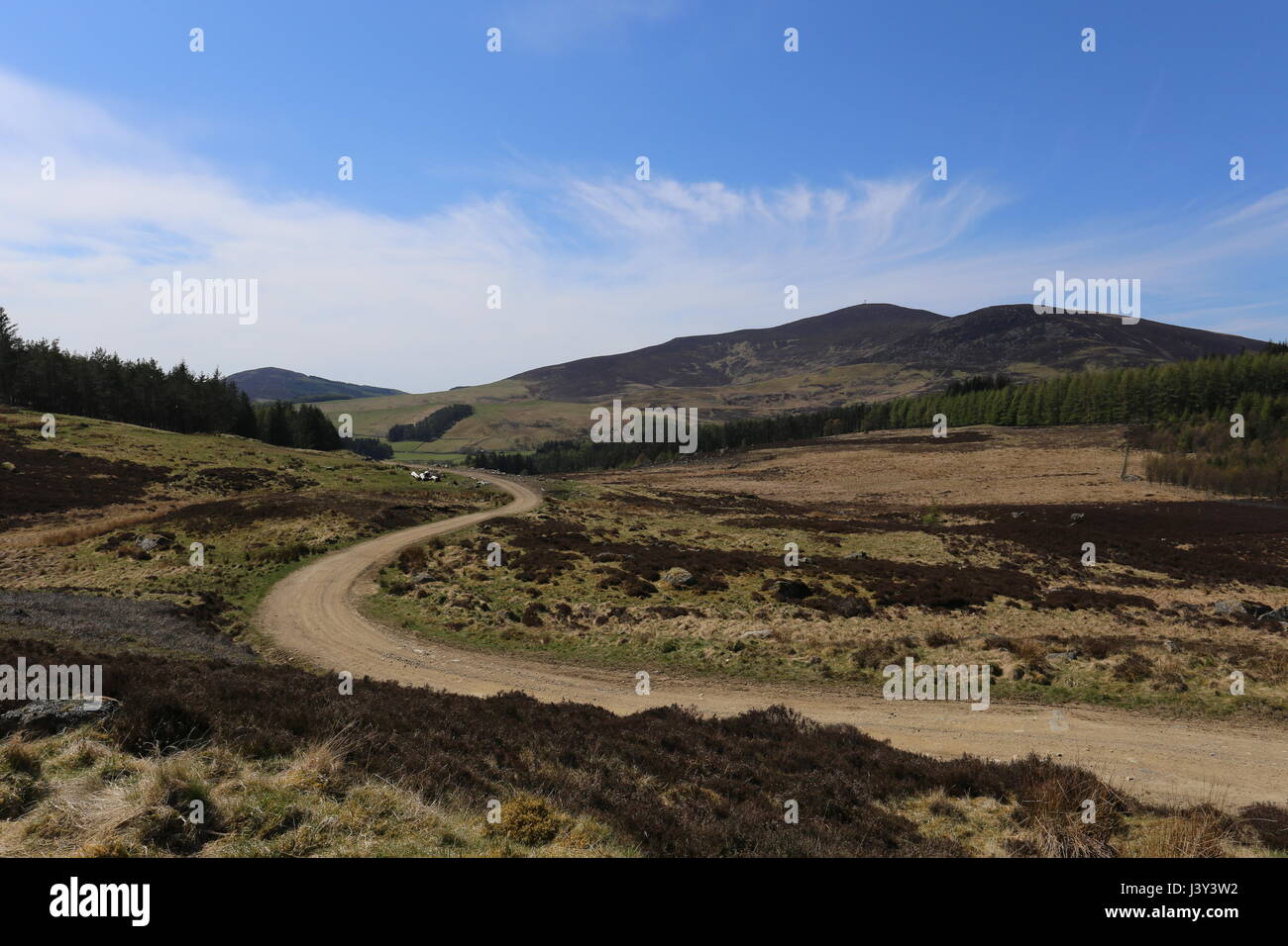 Trail in Glen Isla Mount Blair Scotland  May 2017 Stock Photo