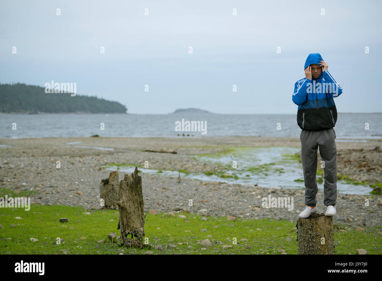 Teenage boy standing on top of tree stump, Pacific Rim National Park, Vancouver Island, Canada Stock Photo