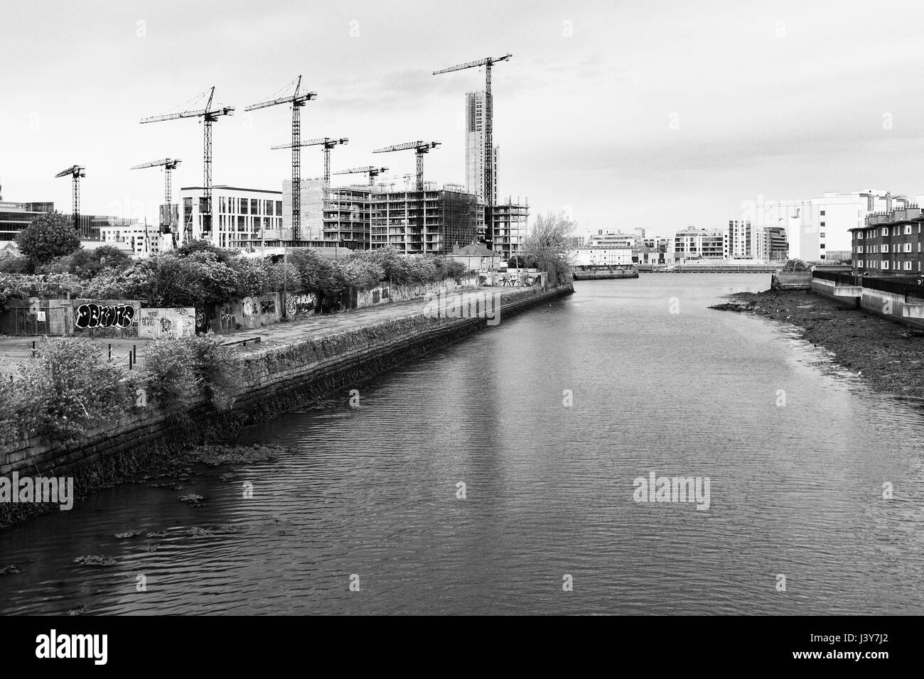 Symbol of dublin Black and White Stock Photos & Images Alamy