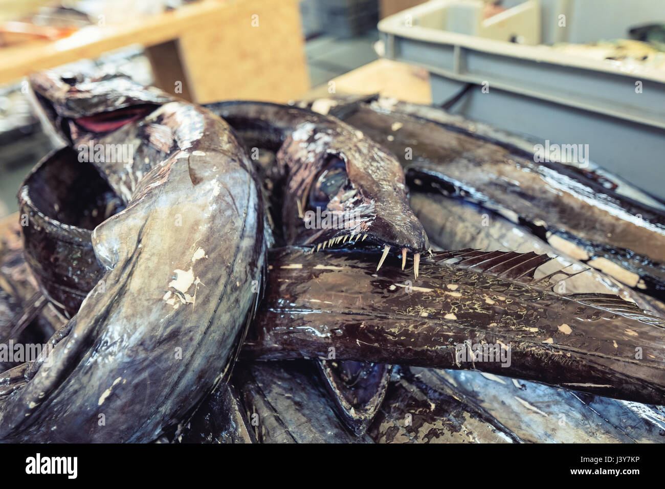 Fresh fish of Madeira market Stock Photo