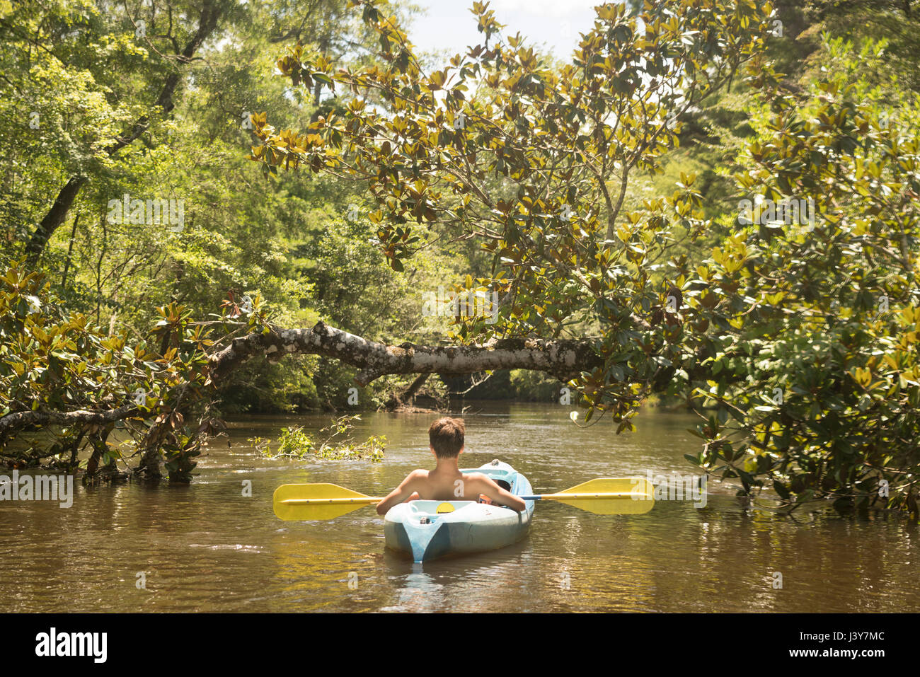 Teenage boy in kayak, Econfina Creek, Youngstown, Florida, USA Stock