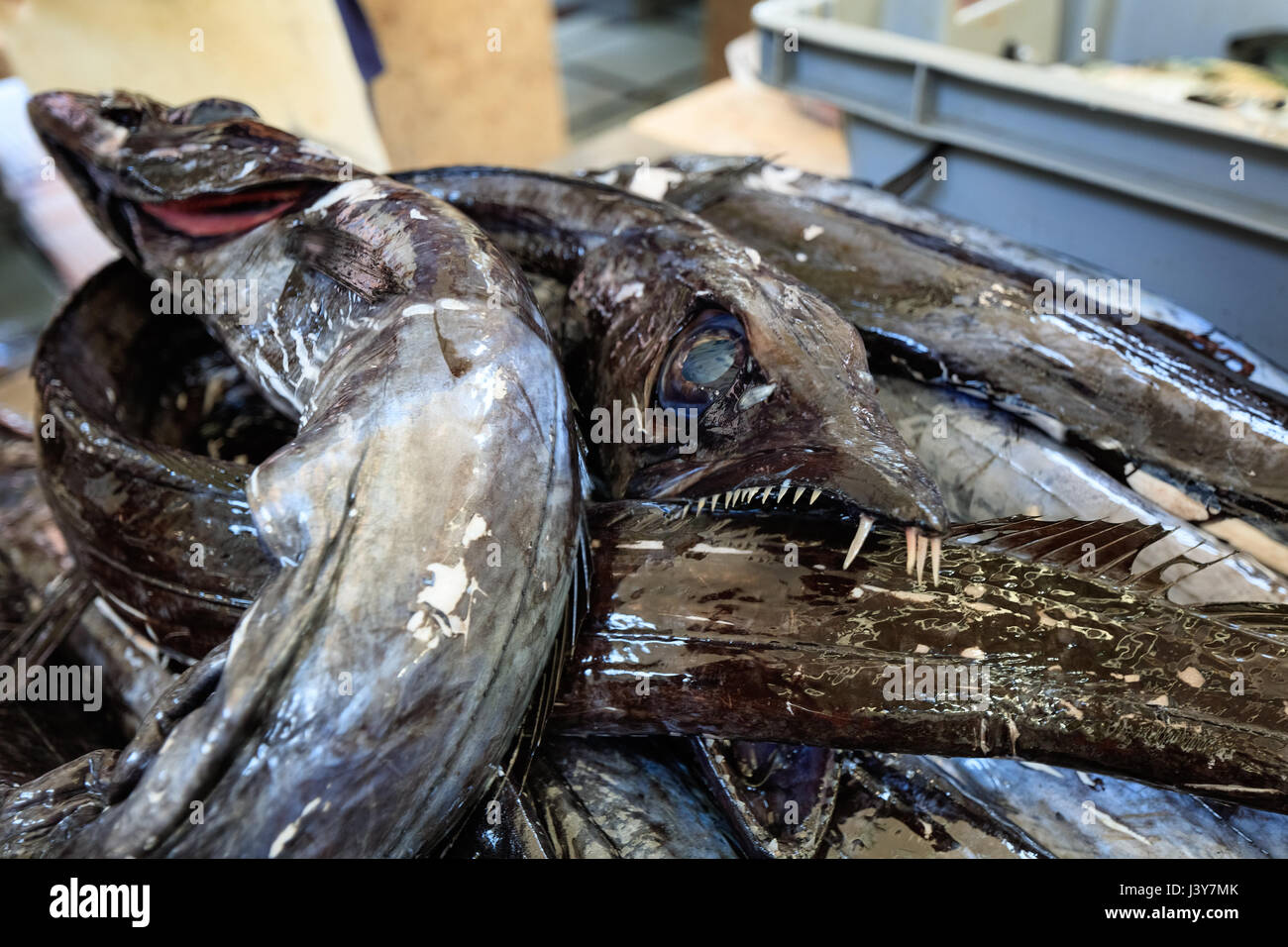 Fresh fish of Madeira market Stock Photo