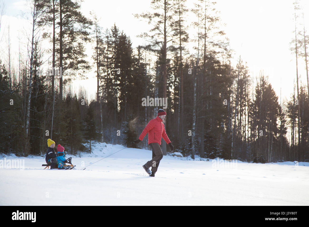 Father pulling sons along on sledge in snow covered landscape Stock Photo