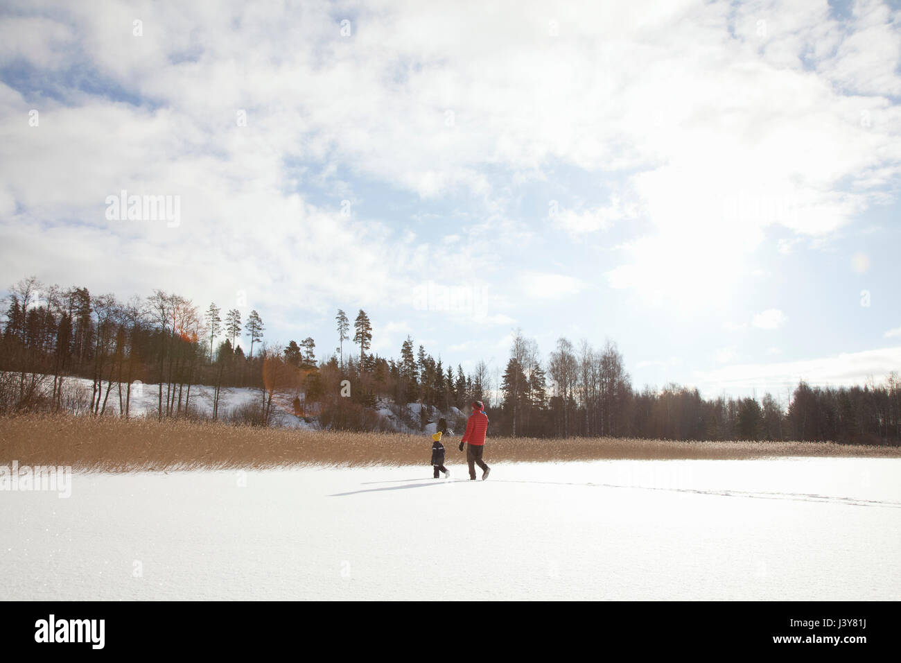 Father and two sons, walking through snow covered landscape Stock Photo