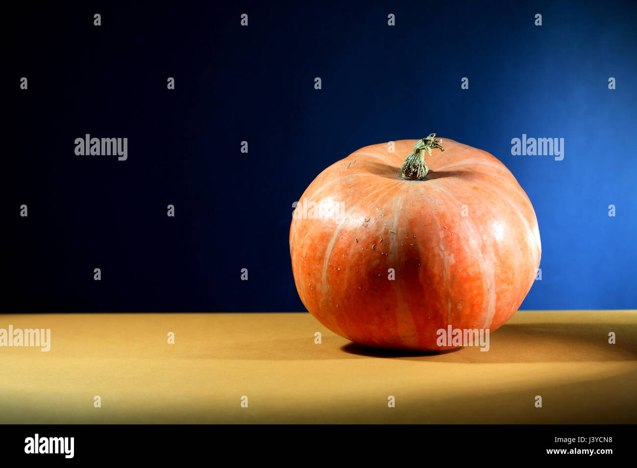Ordinary orange pumpkin on nice dark background with free space for ...