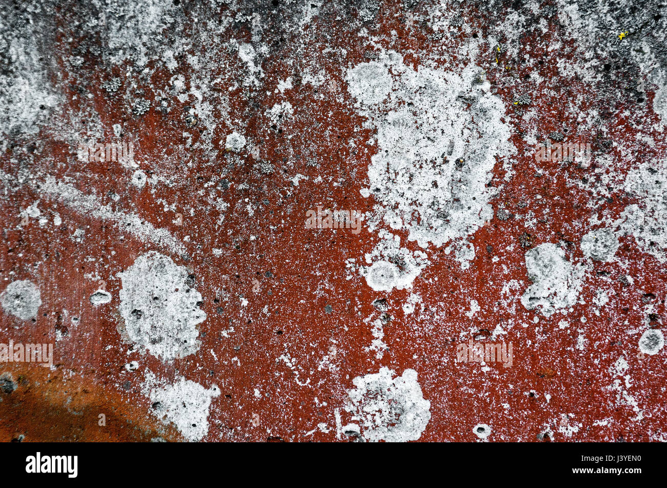 abstract background and texture rust brown red colored with large white ...