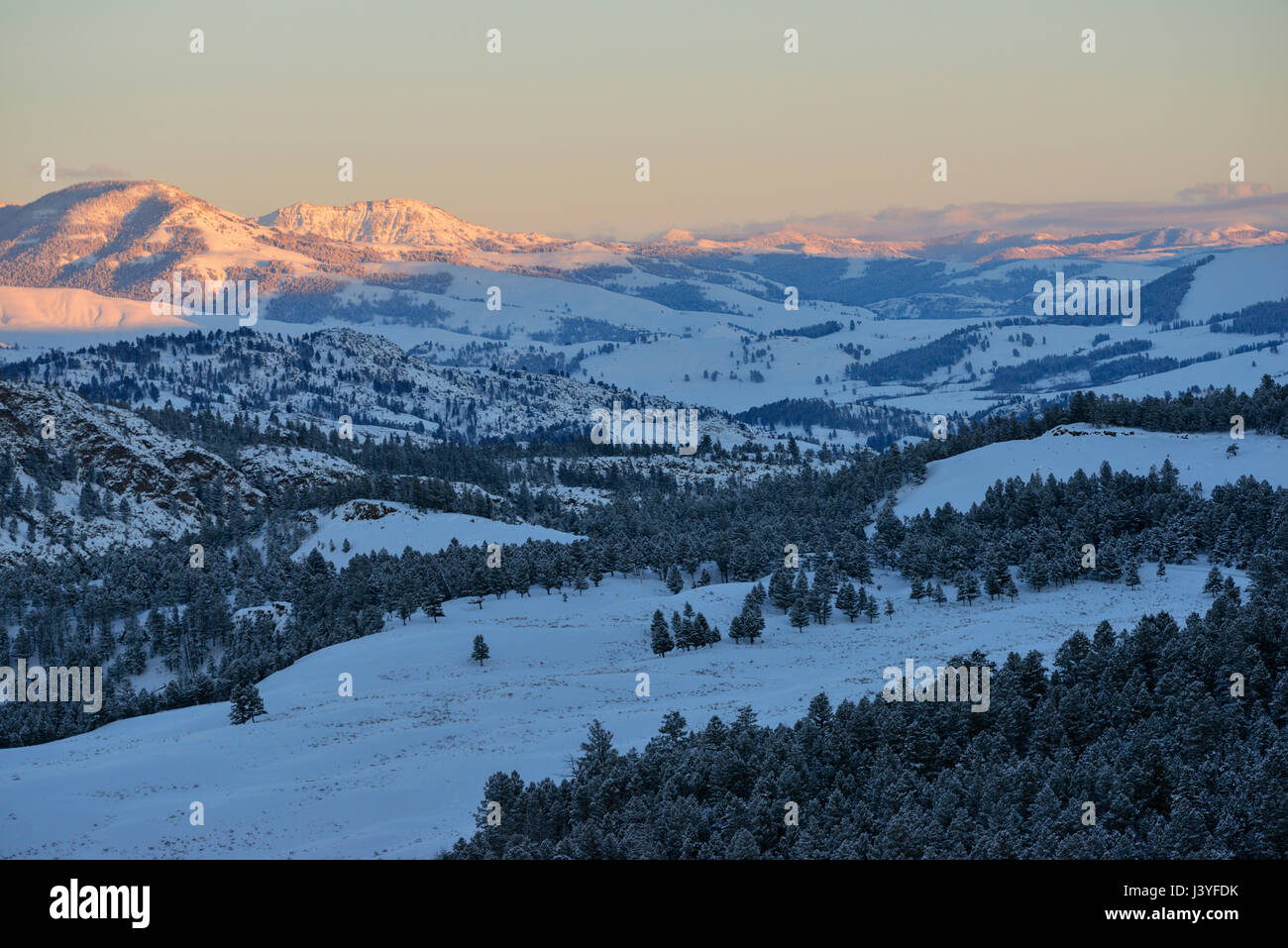 Scenic overview over the wide open valleys of Yellowstone National Park in winter, snow covered hills and mountains in atmospheric last evening light. Stock Photo