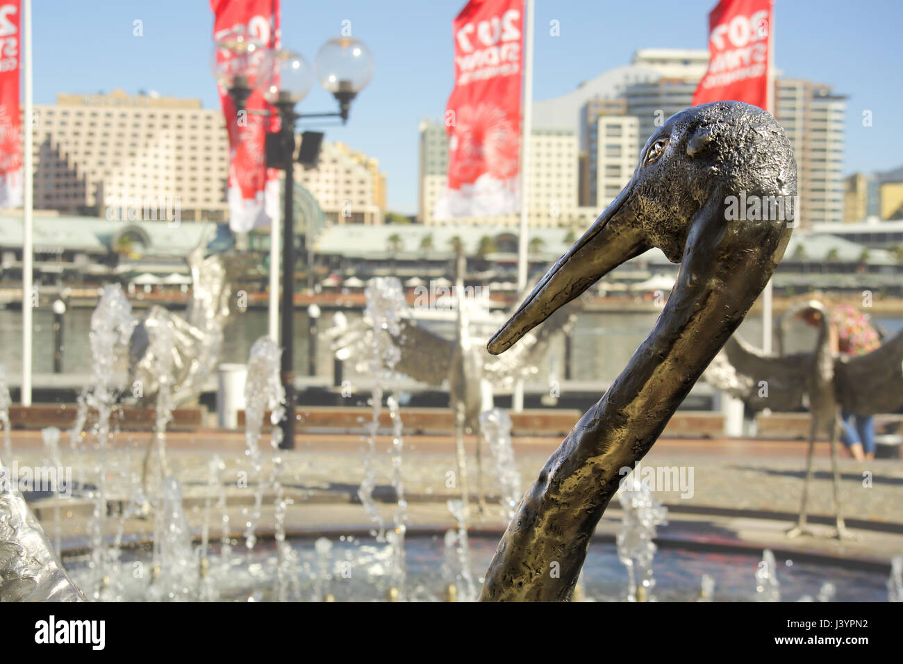Dancing brolgas hi-res stock photography and images - Alamy