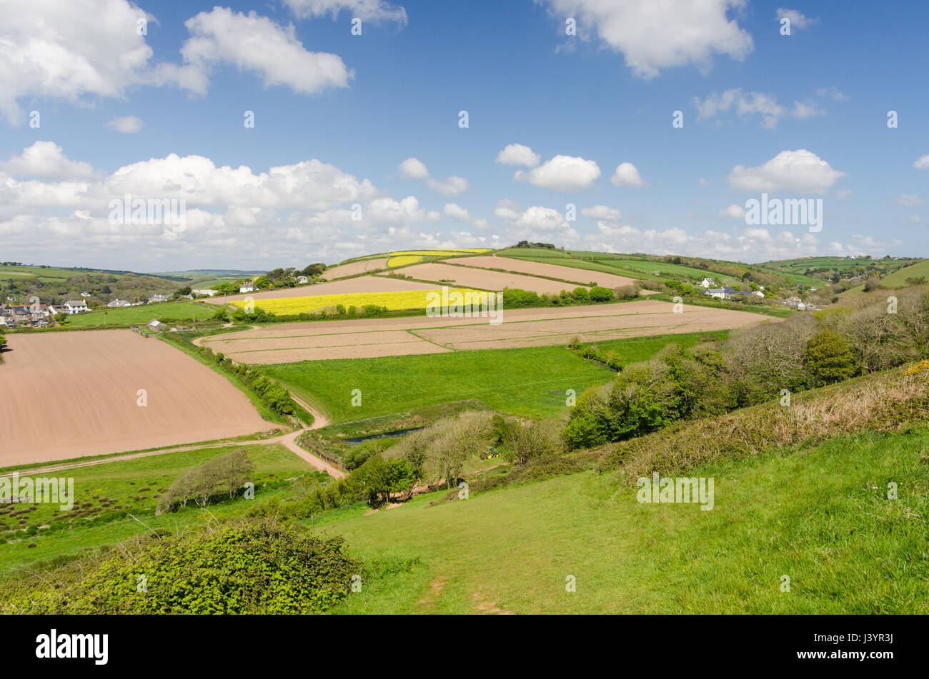 Agricultural land in the pretty South Hams village of Bantham in Devon Stock Photo