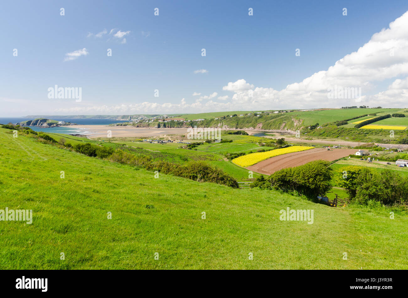 Agricultural land in the pretty South Hams village of Bantham in Devon Stock Photo