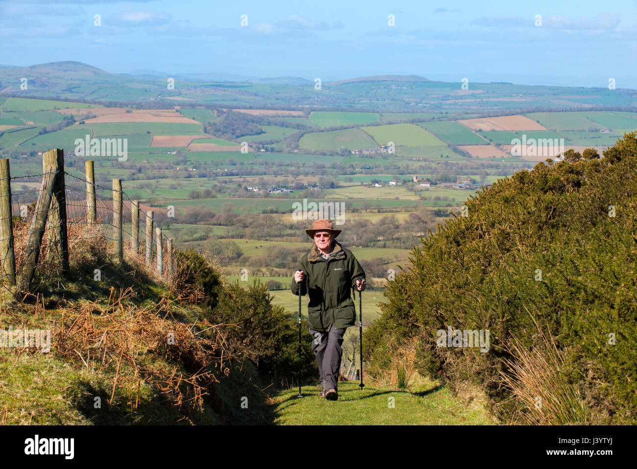 A walker on the Shropshire Way on Brown Clee Hill, Shropshire. Stock Photo