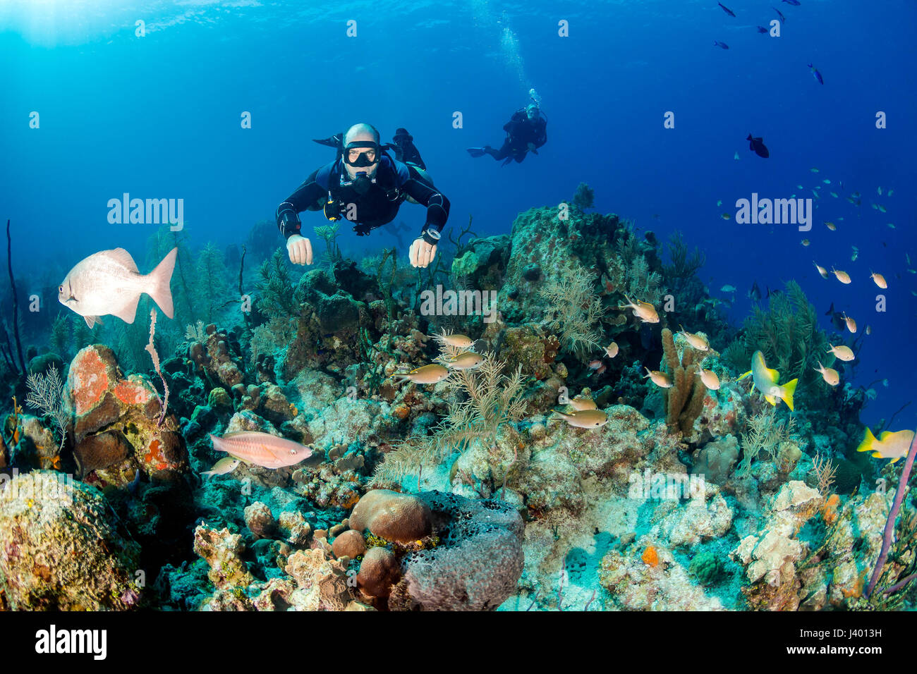 SCUBA diver in a technical sidemount cofiguration on a tropical coral reef Stock Photo