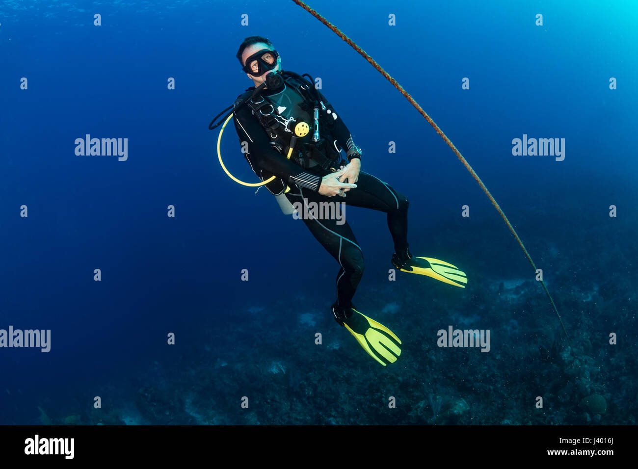 SCUBA diver next to a descend line on a deep dive site Stock Photo Alamy