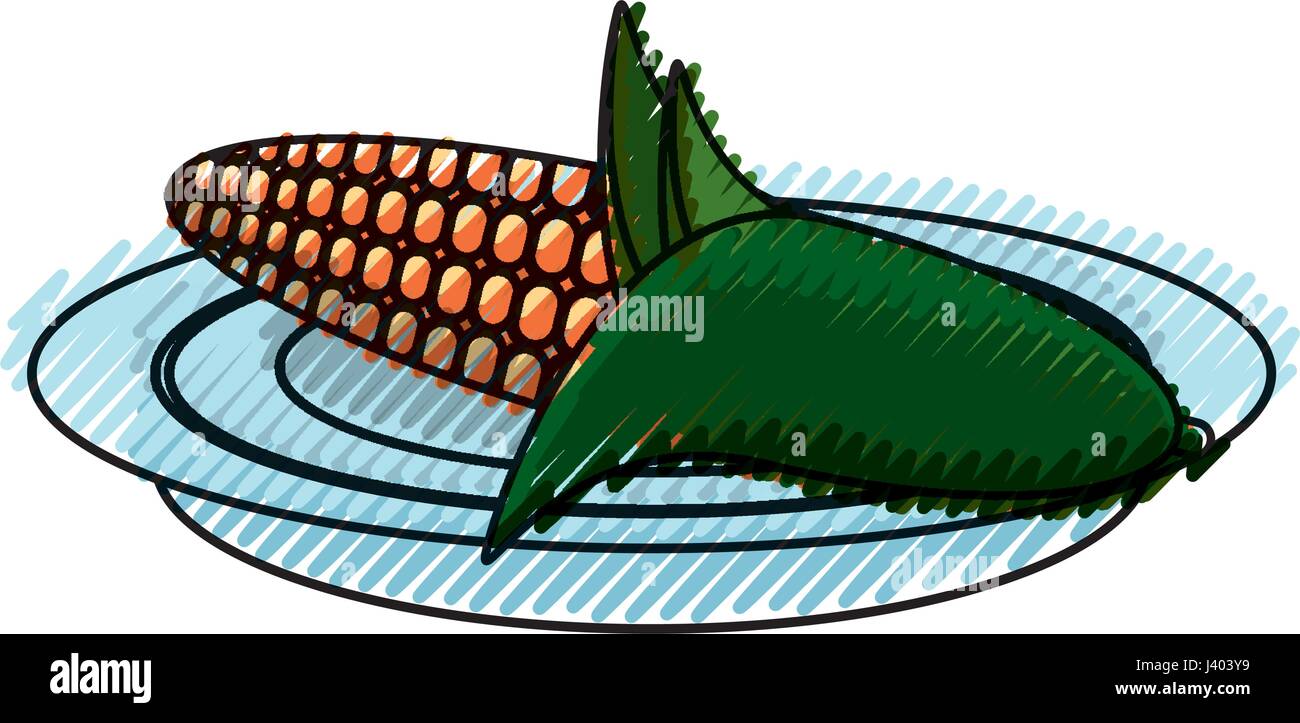 Fresh corn vegetable Stock Vector Image & Art - Alamy