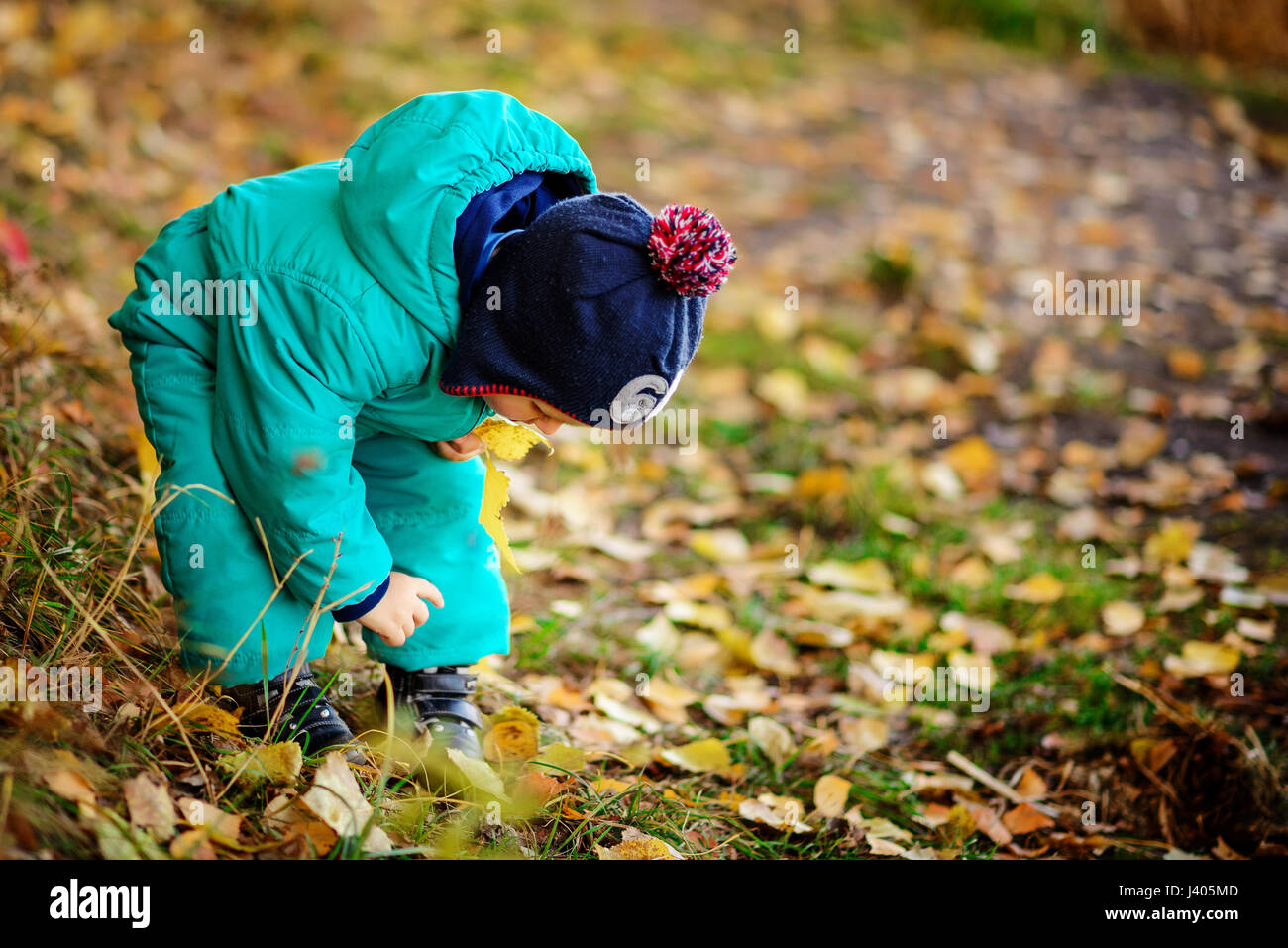 Happy cute boy with autumn leaves in the park Stock Photo - Alamy
