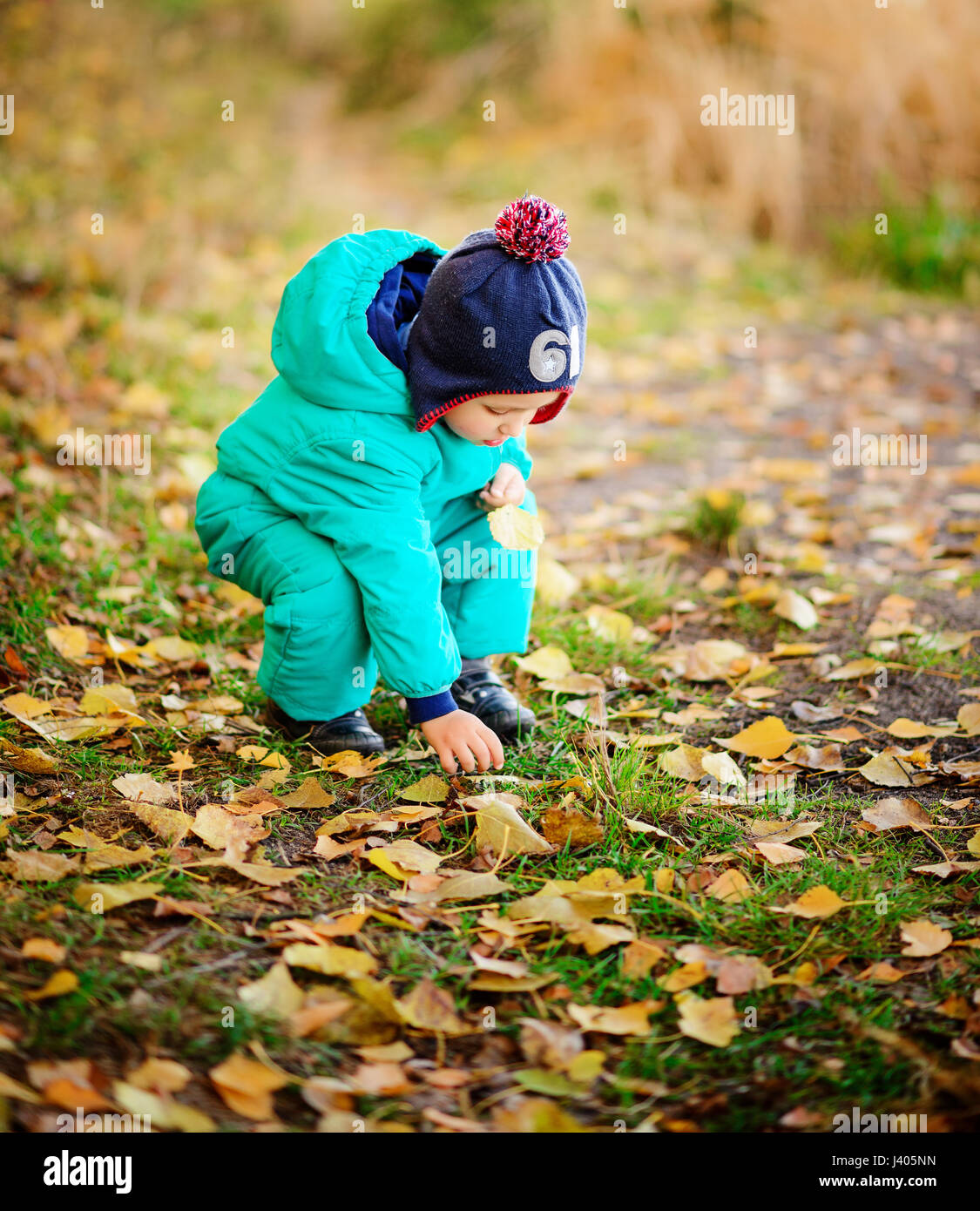 Happy cute boy with autumn leaves in the park Stock Photo - Alamy