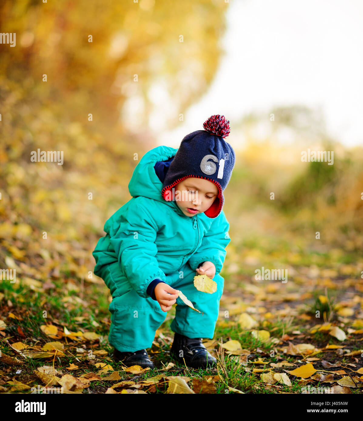 Happy cute boy with autumn leaves in the park Stock Photo - Alamy