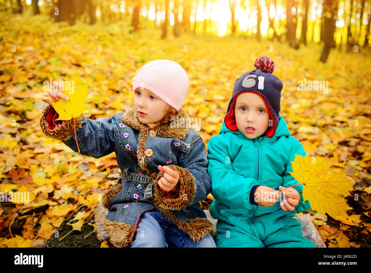 Brothers and sister playing outside in Autumn leaves Stock Photo - Alamy