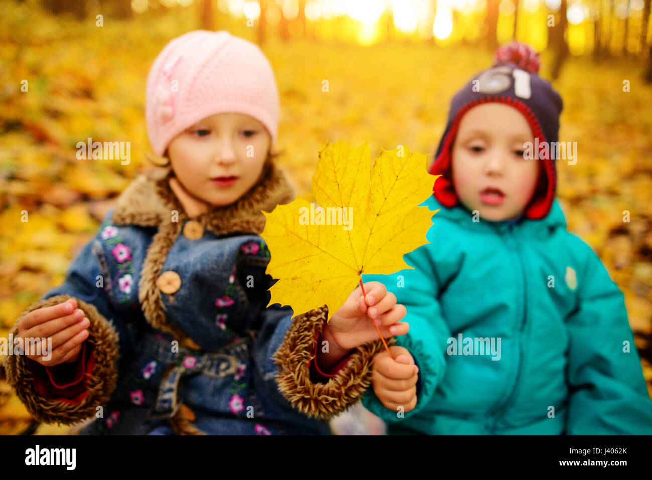 Brothers and sister playing outside in Autumn leaves Stock Photo - Alamy