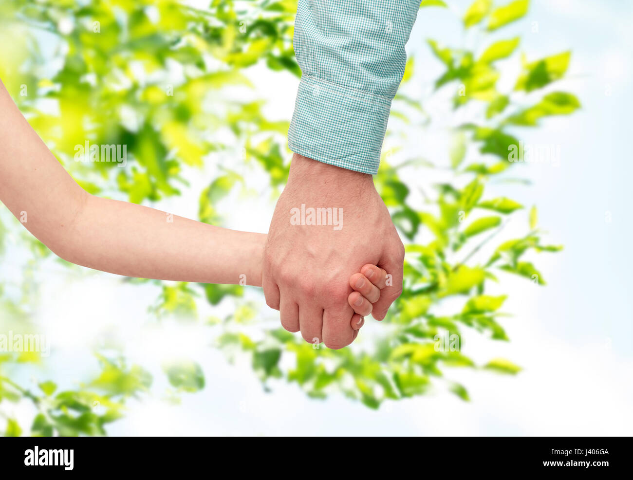 father and child holding hands over green leaves Stock Photo