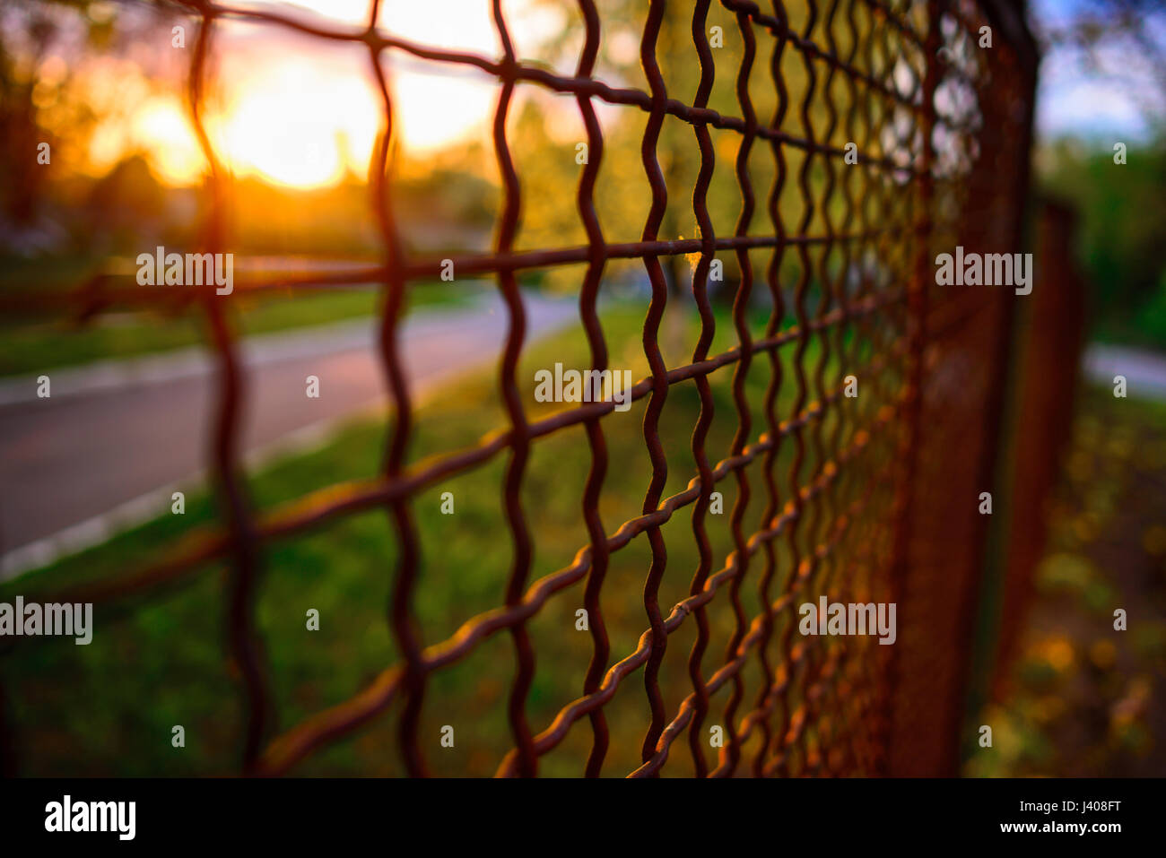 fence with metal grid in perspective, background Stock Photo - Alamy