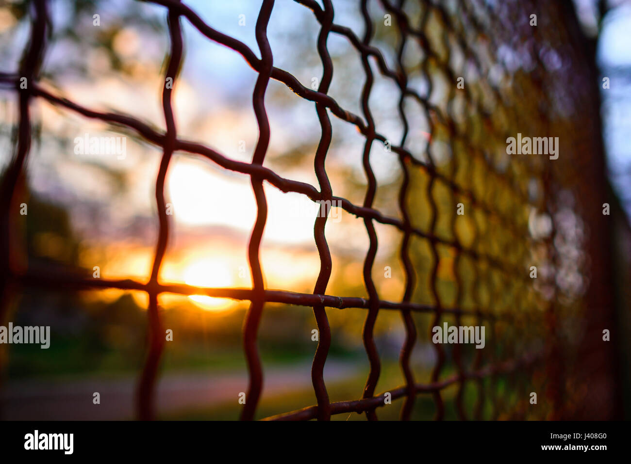 fence with metal grid in perspective, background Stock Photo - Alamy