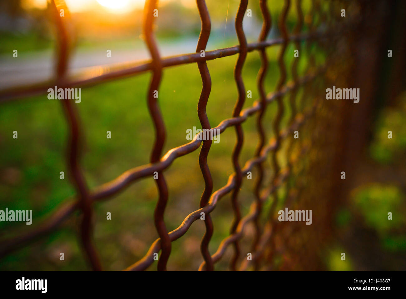 fence with metal grid in perspective, background Stock Photo - Alamy
