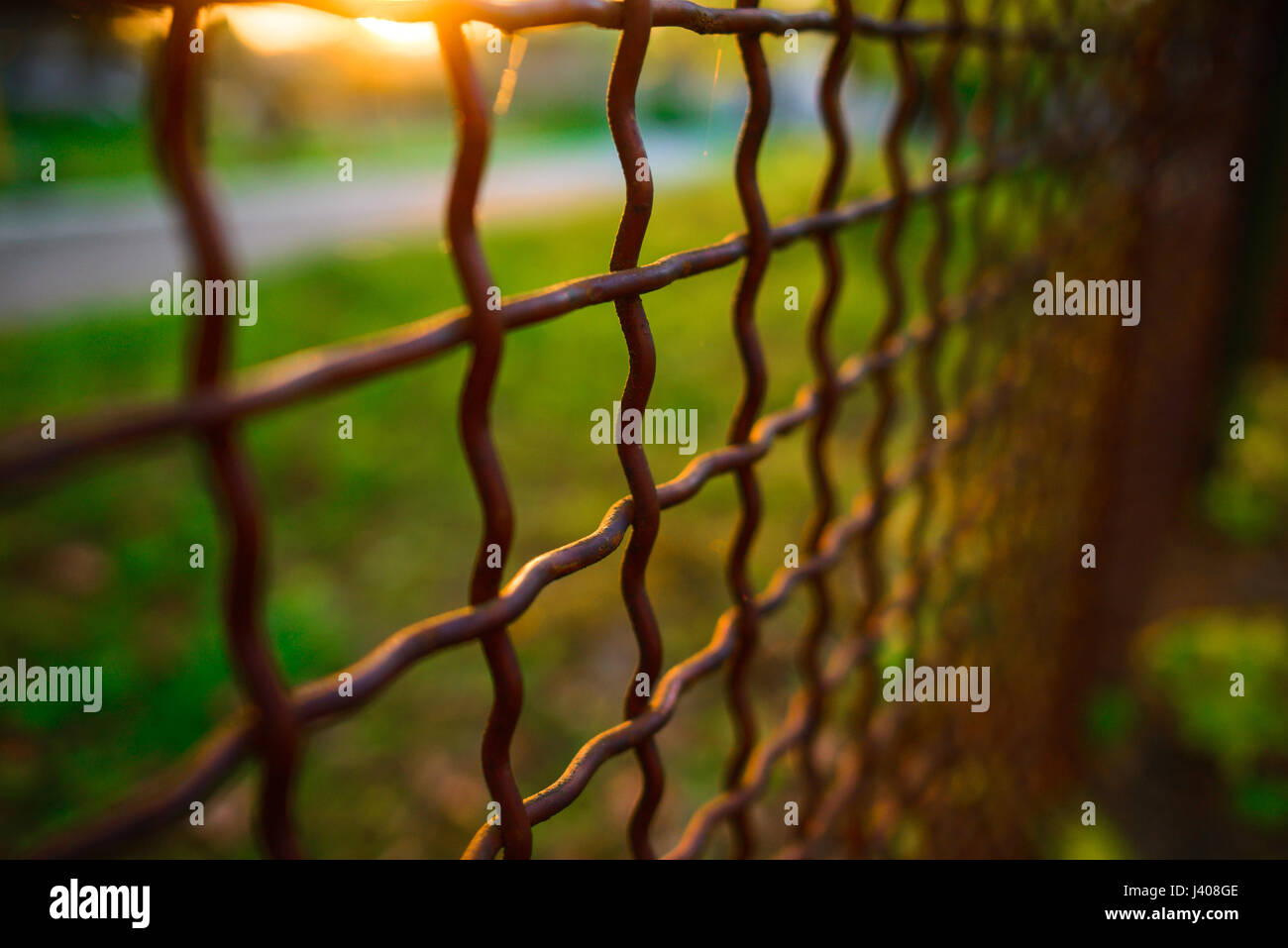 fence with metal grid in perspective, background Stock Photo - Alamy