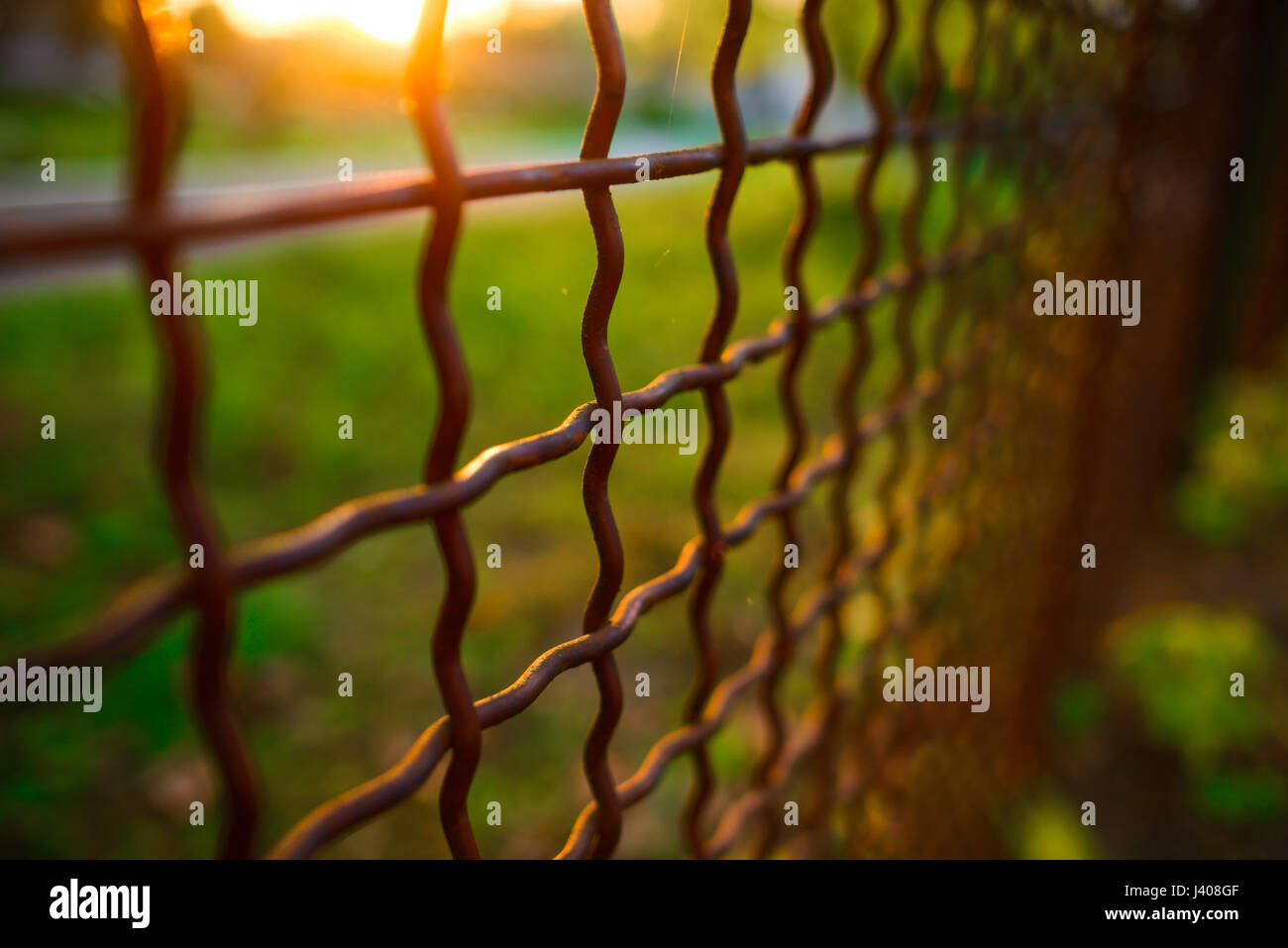 fence with metal grid in perspective, background Stock Photo - Alamy