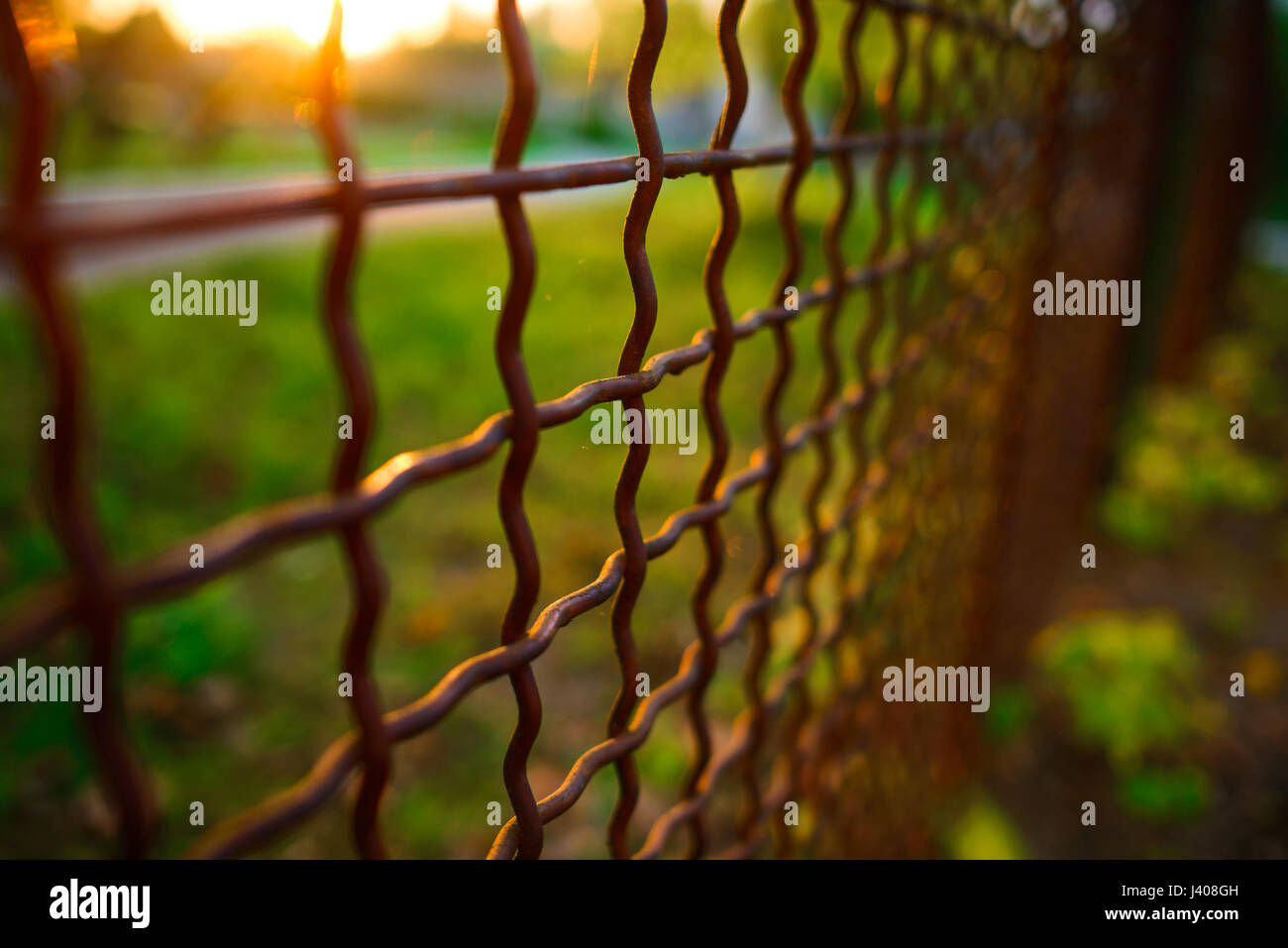 fence with metal grid in perspective, background Stock Photo - Alamy