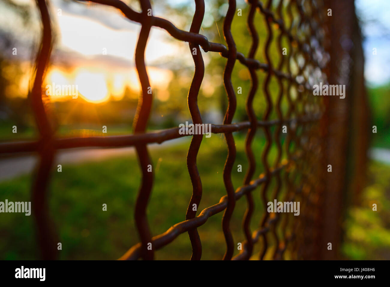 fence with metal grid in perspective, background Stock Photo - Alamy