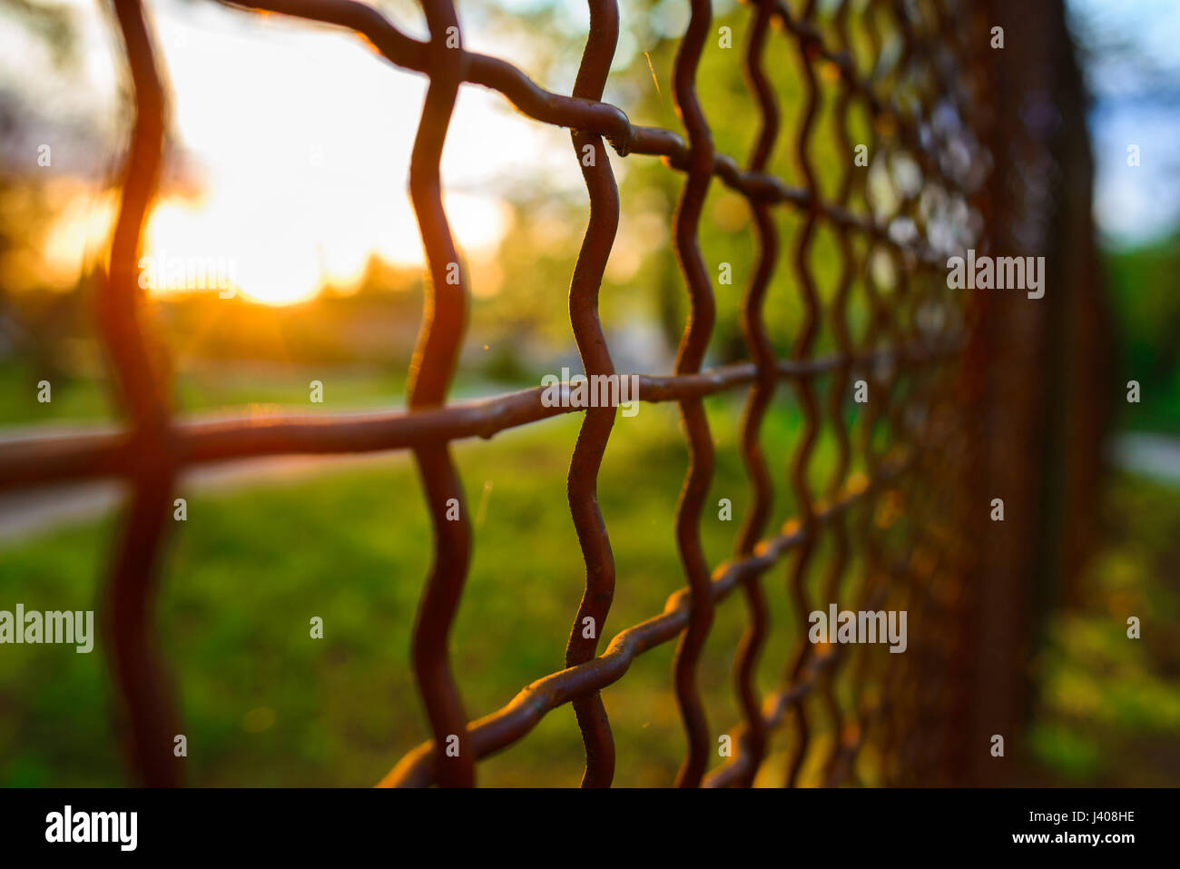 fence with metal grid in perspective, background Stock Photo - Alamy