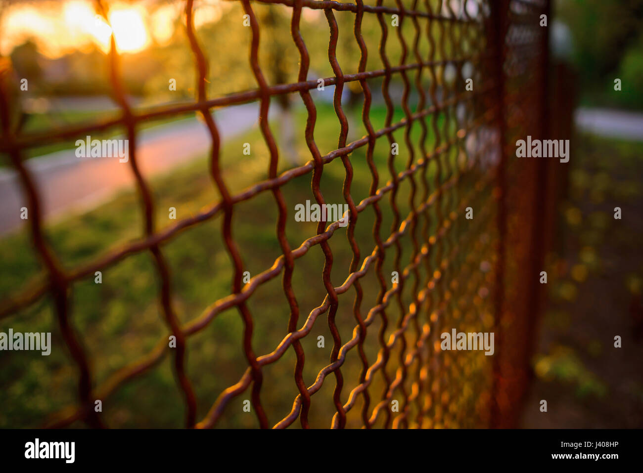 fence with metal grid in perspective, background Stock Photo - Alamy