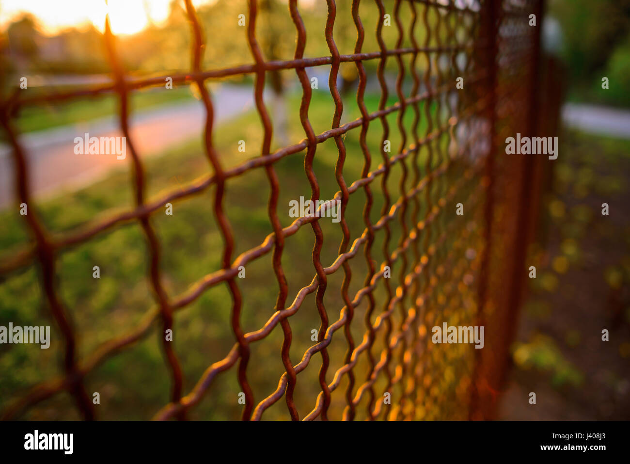 fence with metal grid in perspective, background Stock Photo - Alamy
