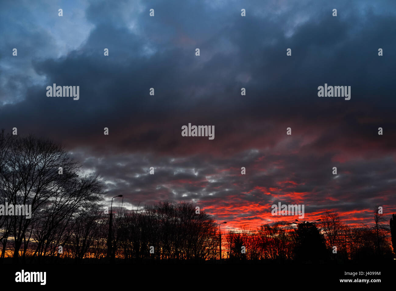 Silhouettes of trees and amazing cloudy sky on sunset Stock Photo - Alamy