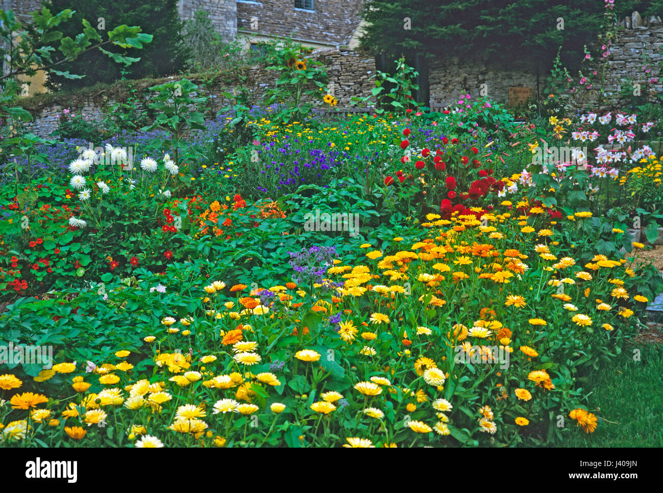 Colourful floral display in a Kitchen Garden Stock Photo