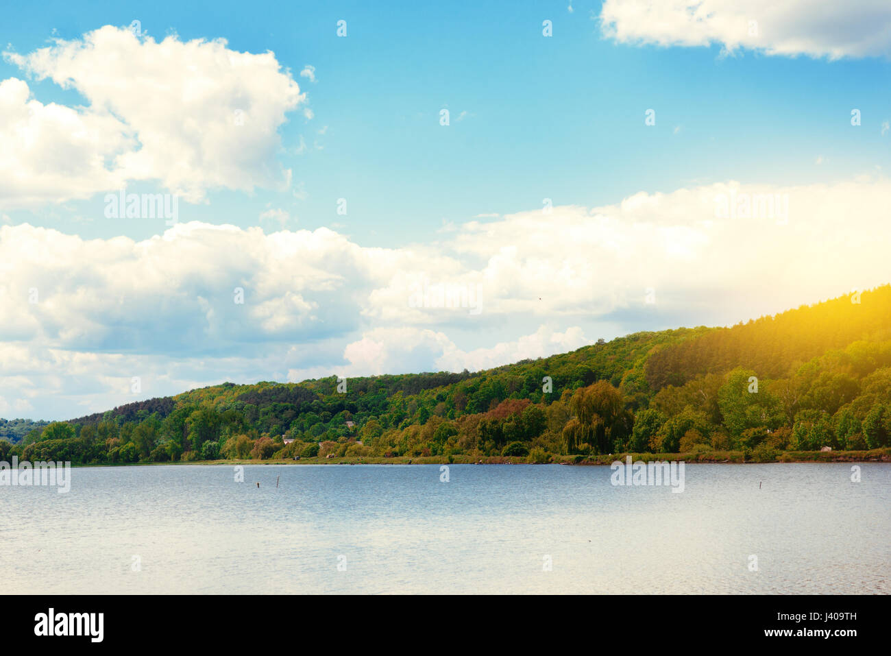 Summer landscape with forest lake and blue sky Stock Photo - Alamy
