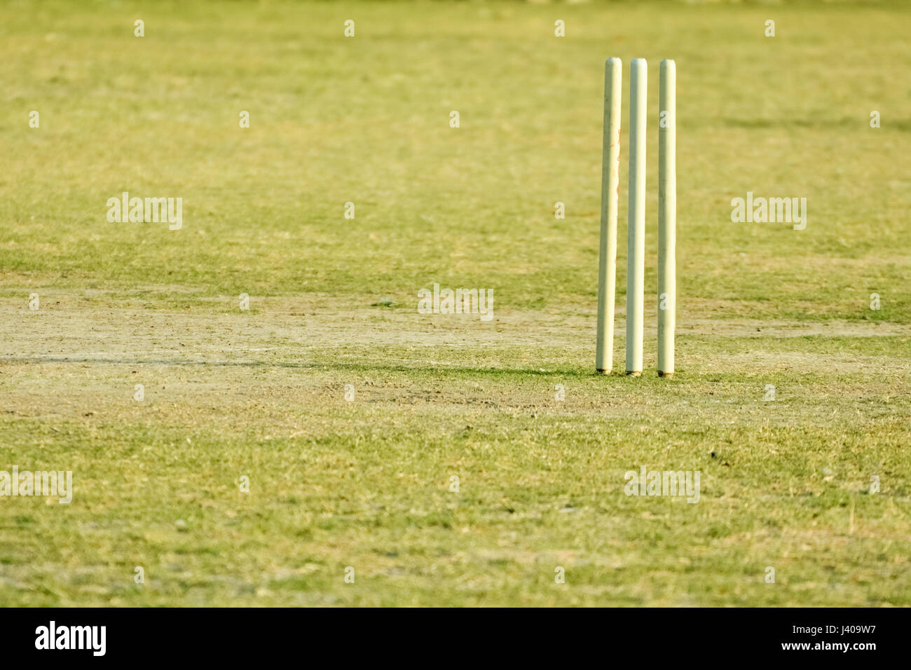 Empty cricket pitch Stock Photo