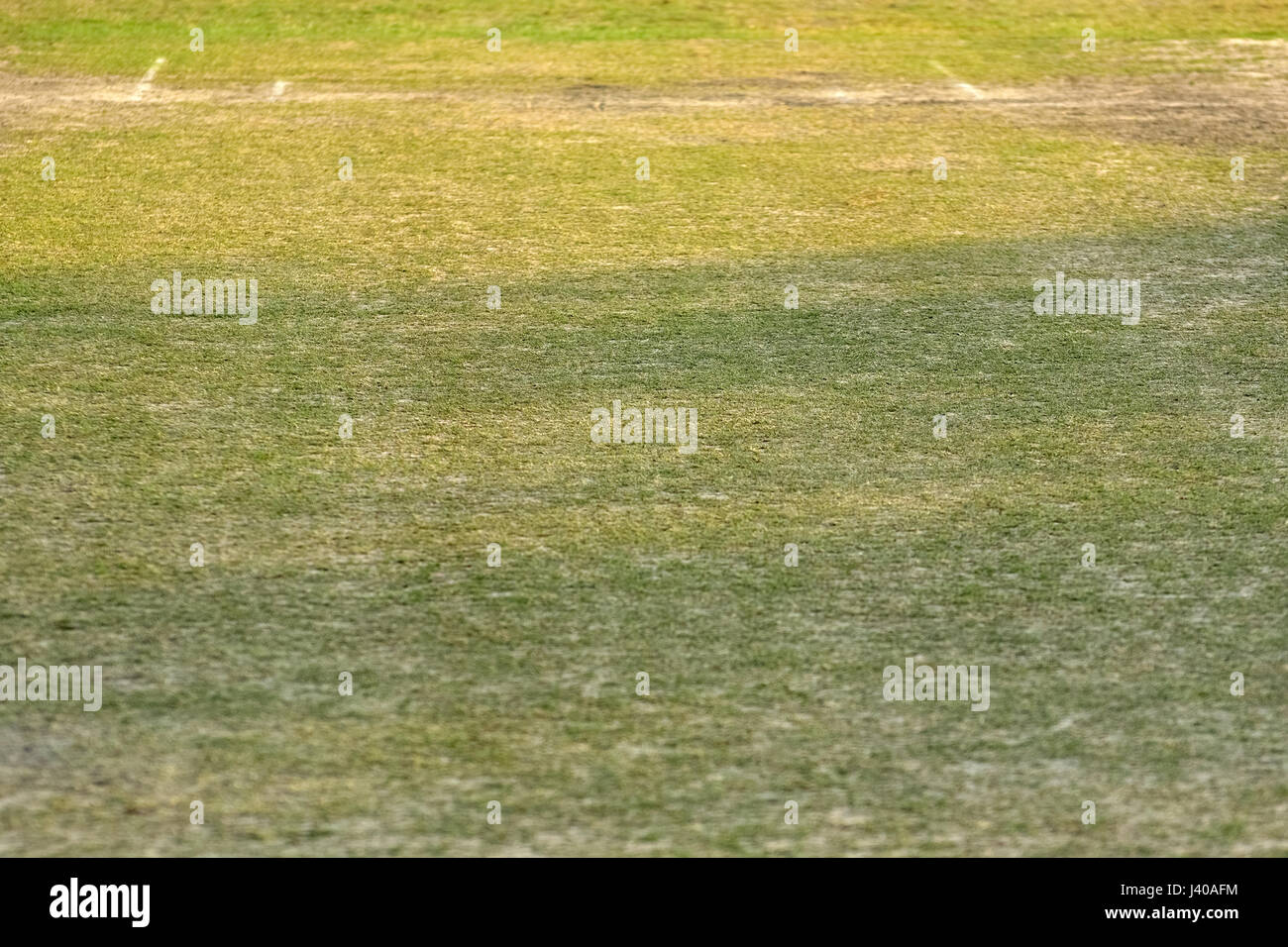 Empty cricket pitch Stock Photo