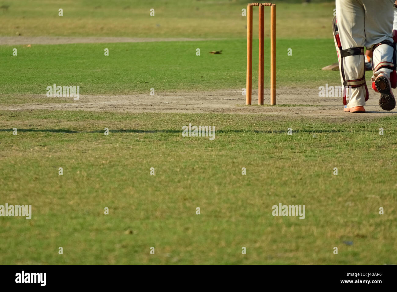 Cricket batsman is running Stock Photo Alamy