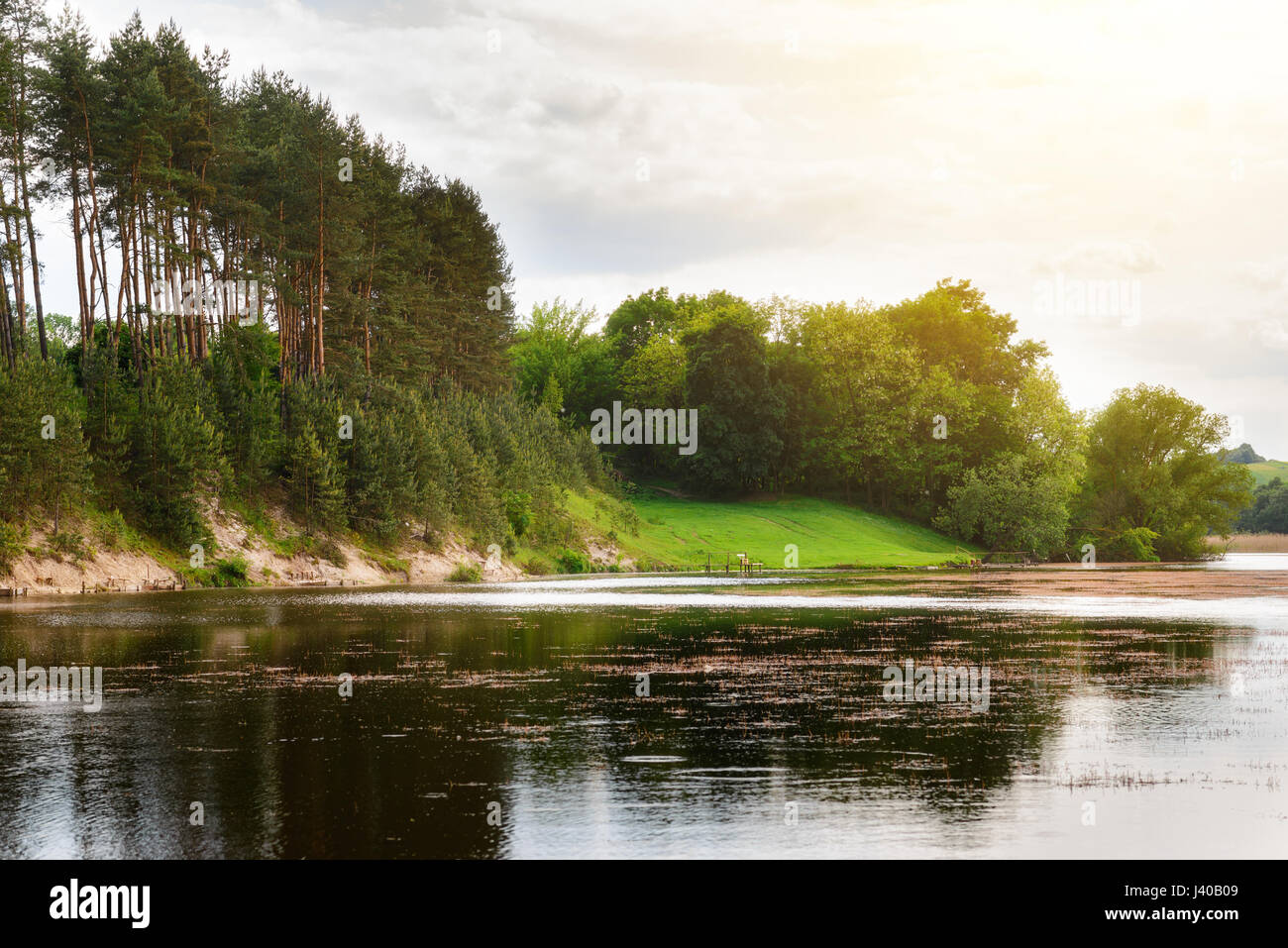 Summer landscape with forest lake and blue sky Stock Photo - Alamy