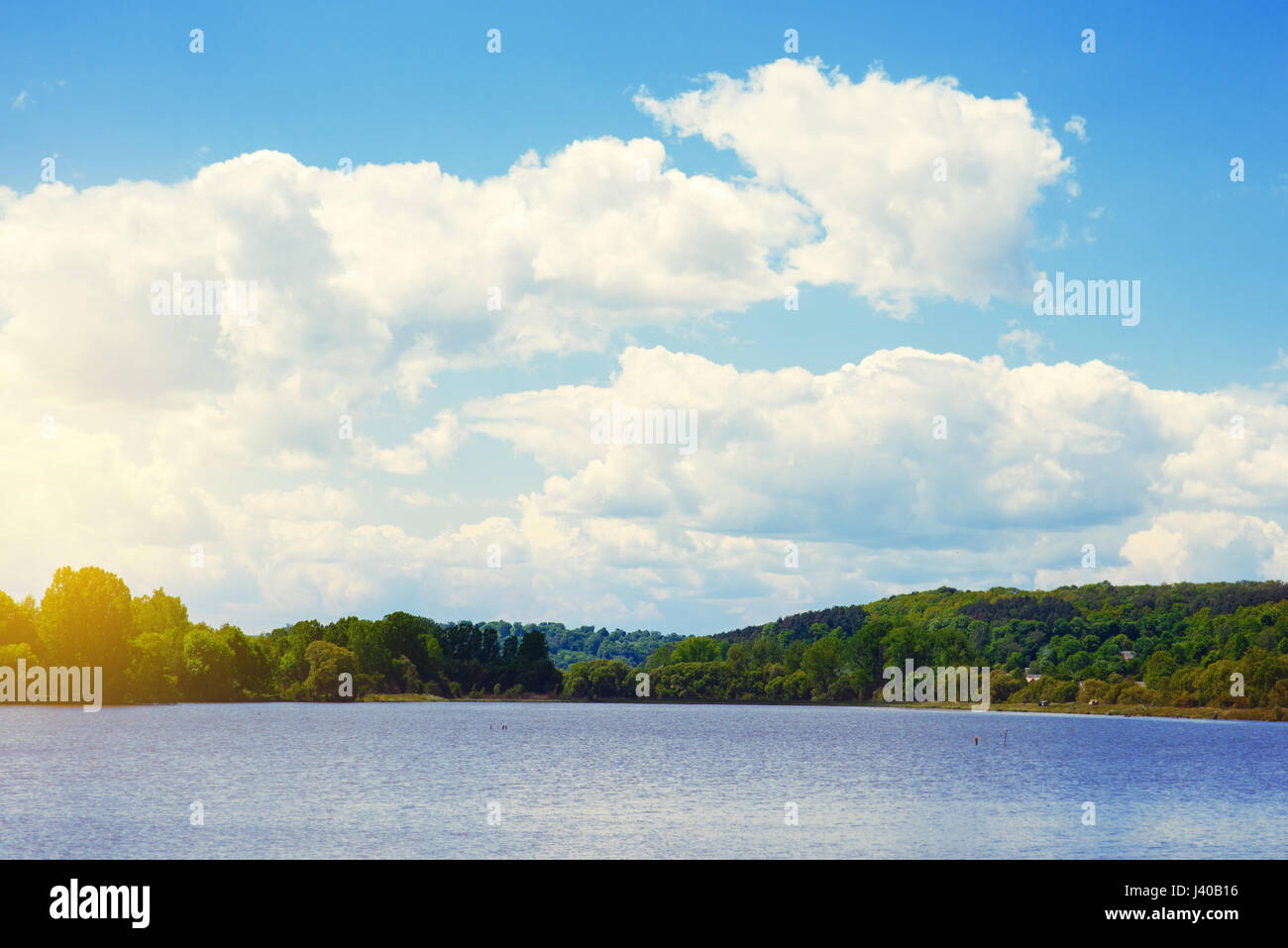 Summer landscape with forest lake and blue sky Stock Photo - Alamy