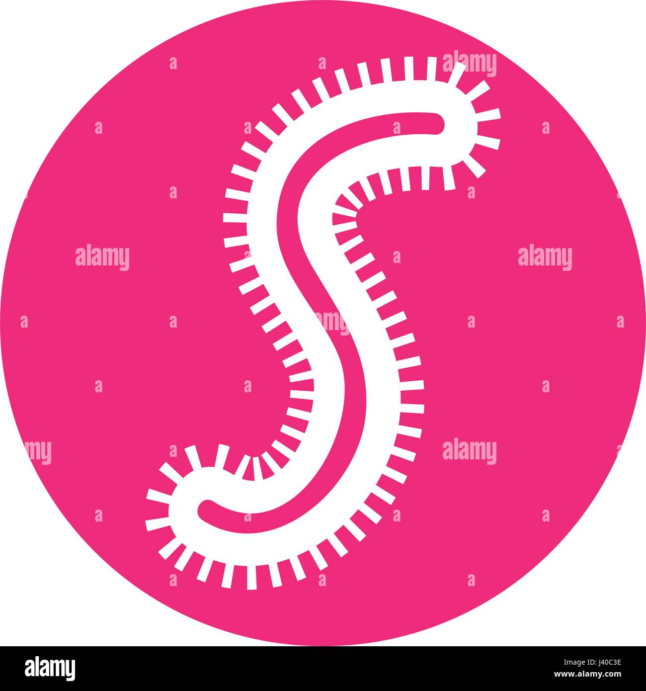 Bacterial cell structure icon Stock Vector Image & Art - Alamy