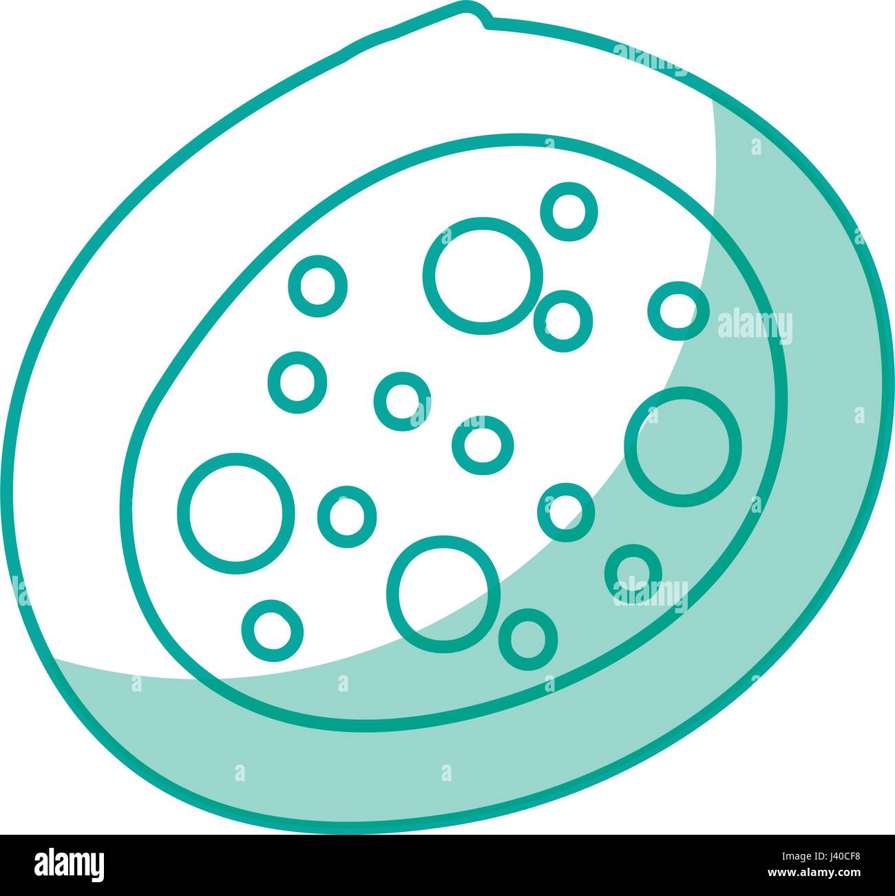 Bacterial cell structure icon Stock Vector