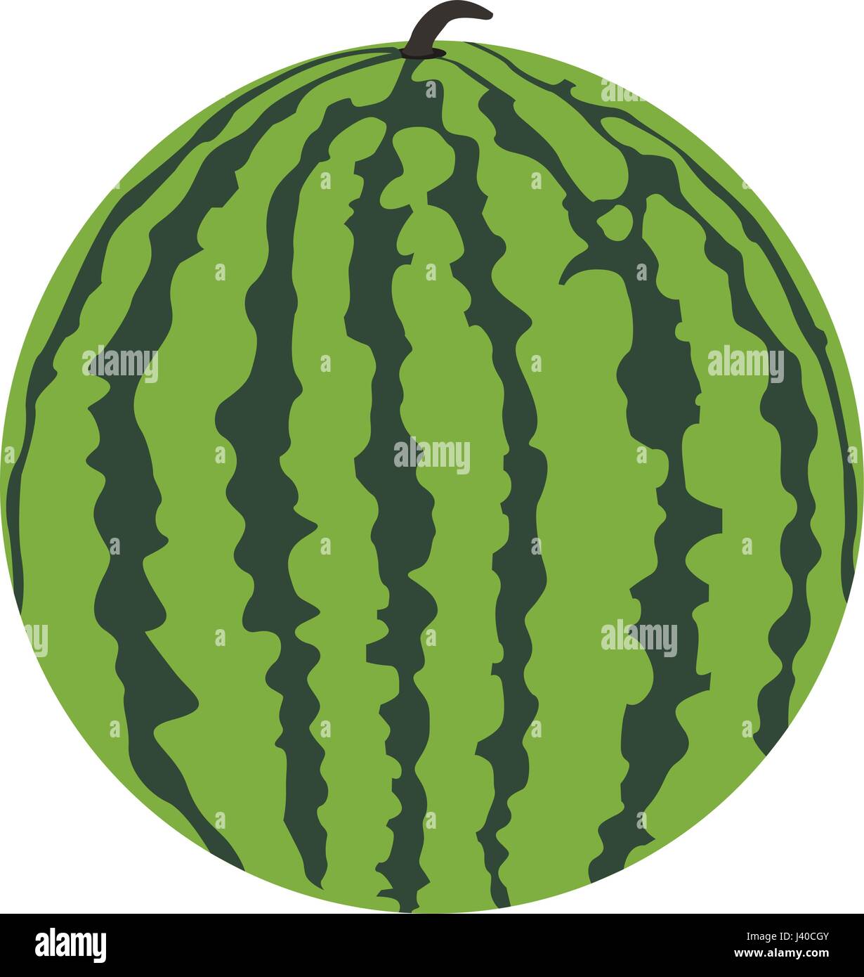Isolated watermelon fruit Stock Vector Image & Art - Alamy